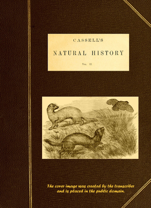 Cassell's Natural History, Vol. 2 (of 6)
