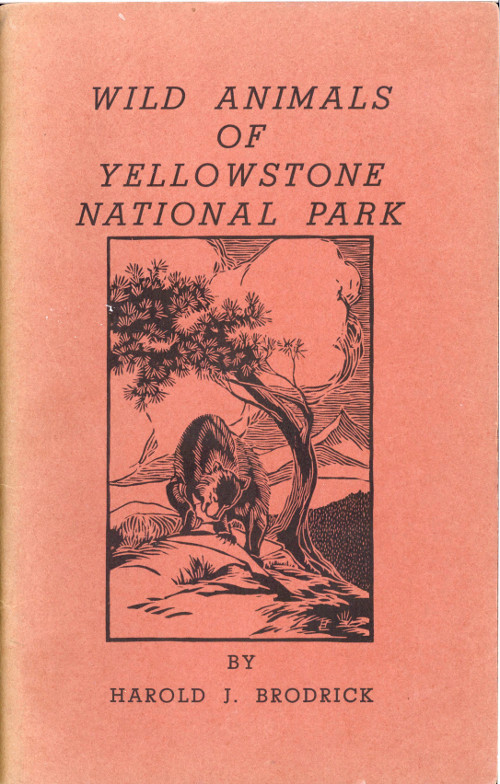 Wild Animals of Yellowstone National Park