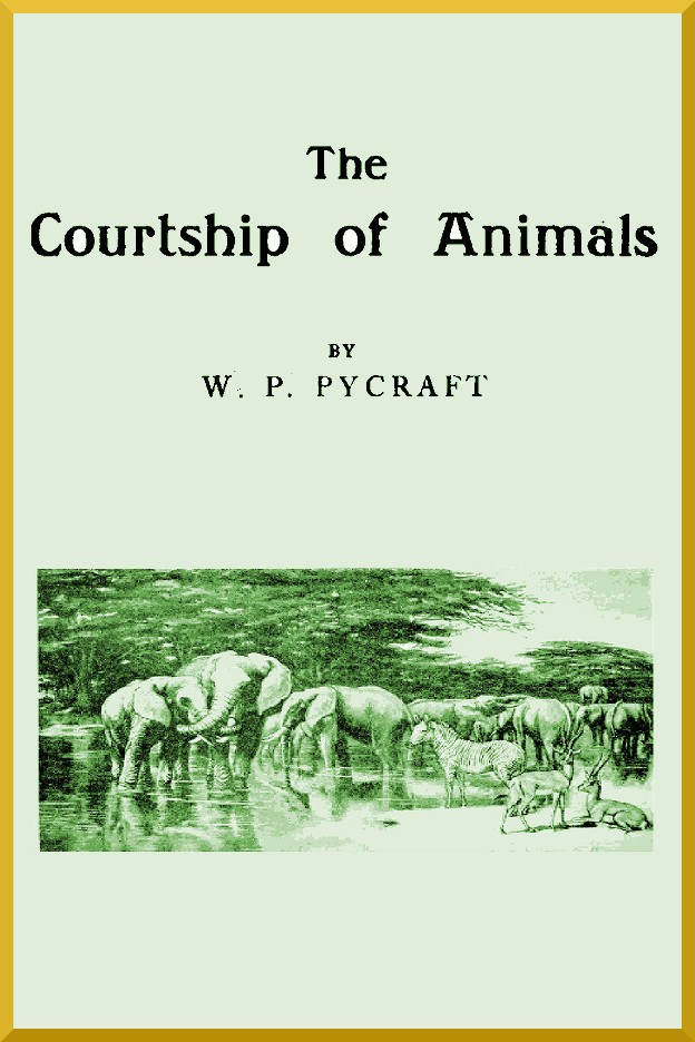 The Courtship of Animals