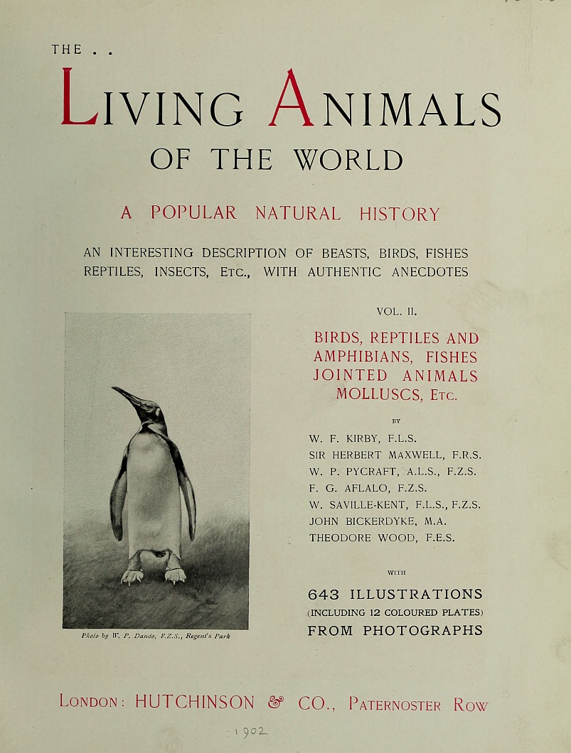 The Living Animals of the World, Volume 2 (of 2)&#10;A Popular Natural History