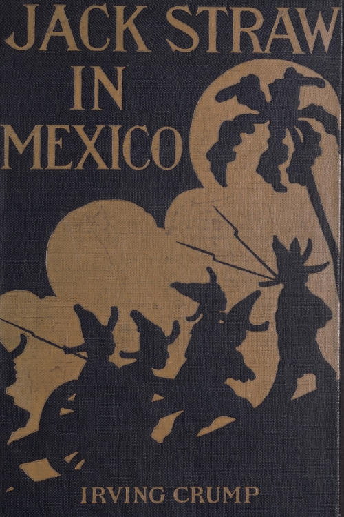 Jack Straw in Mexico: How the Engineers Defended the Great Hydro-Electric Plant