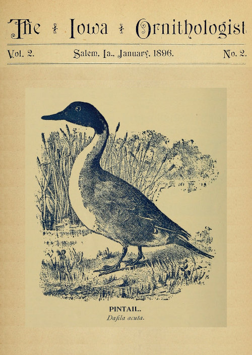 The Iowa Ornithologist, Volume 2, No. 2, January 1896&#10;For the Student of Birds