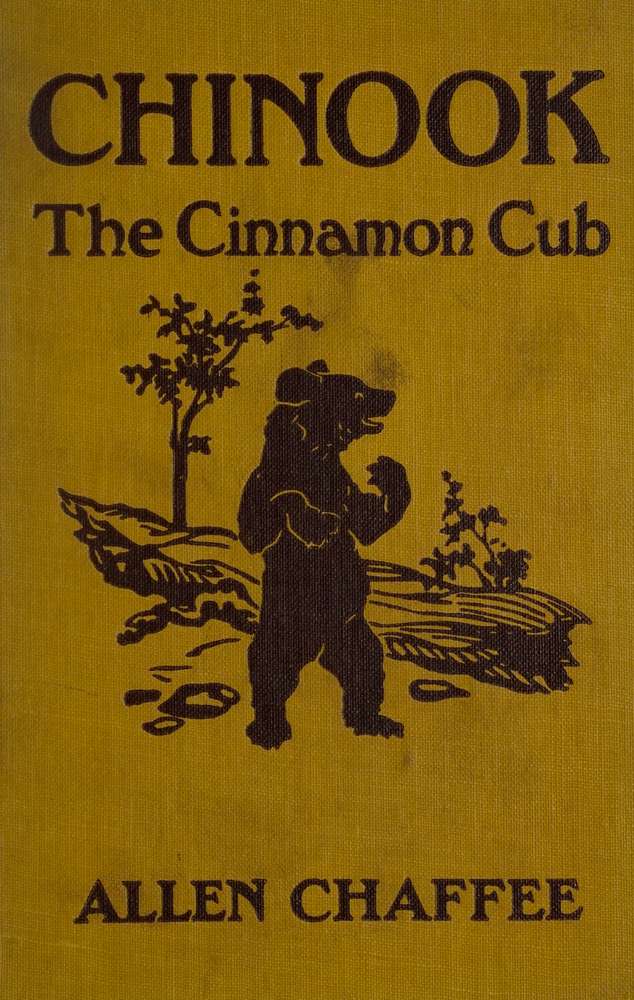 Chinook, the Cinnamon Cub