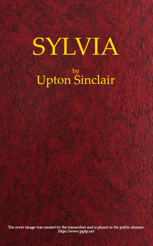 Sylvia: Bir Roman