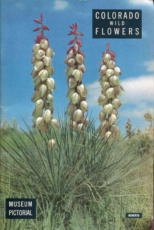 Colorado Wild Flowers