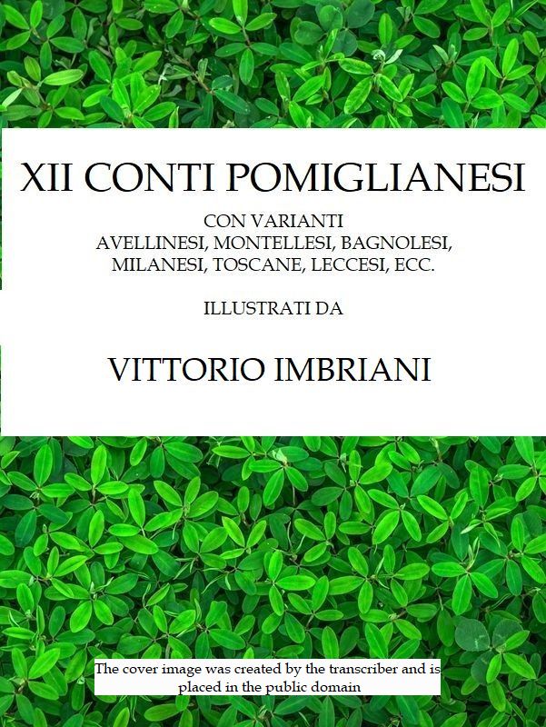 XII conti pomiglianesi&#10;con varianti avellinesi, montellesi, bagnolesi, milanesi, toscane, ecc.