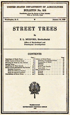 Street Trees