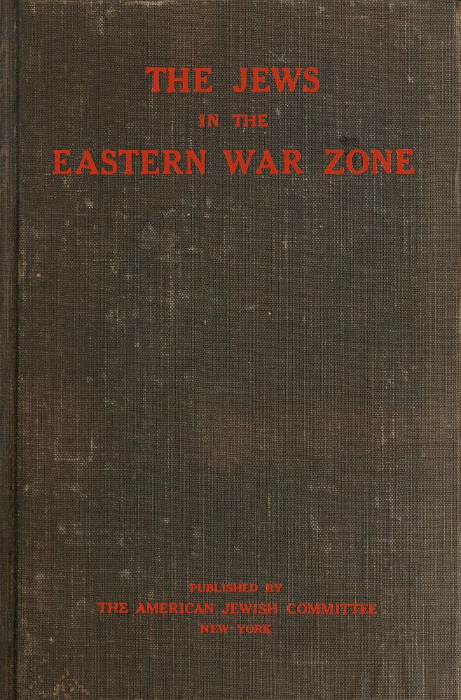 The Jews in the Eastern War Zone