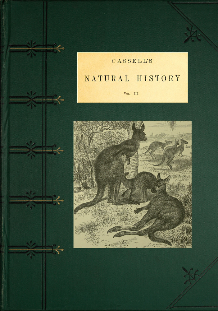 Cassell's Natural History, Vol. 3 (of 6)