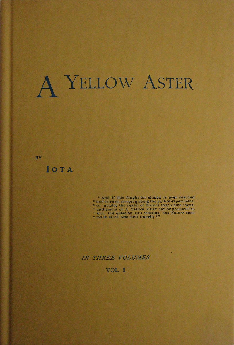 A Yellow Aster, Volume 1 (of 3)