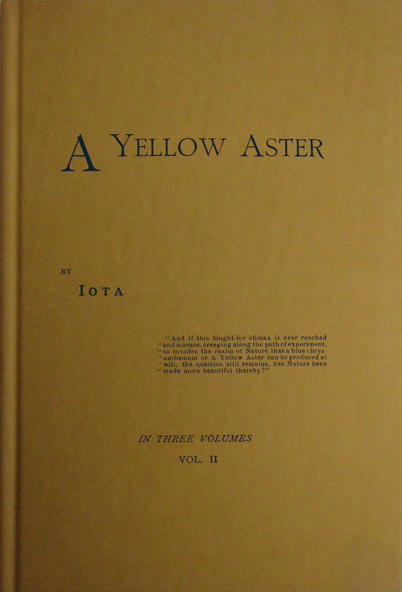 A Yellow Aster, Volume 2 (of 3)