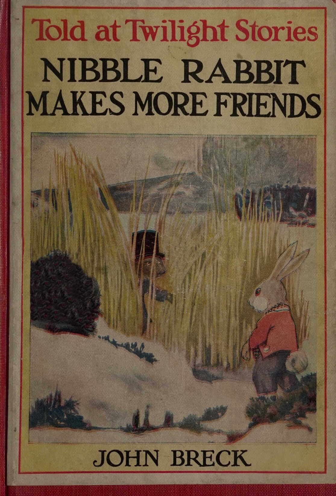 Cıbıl Tavşan Daha Fazla Arkadaş Ediniyor