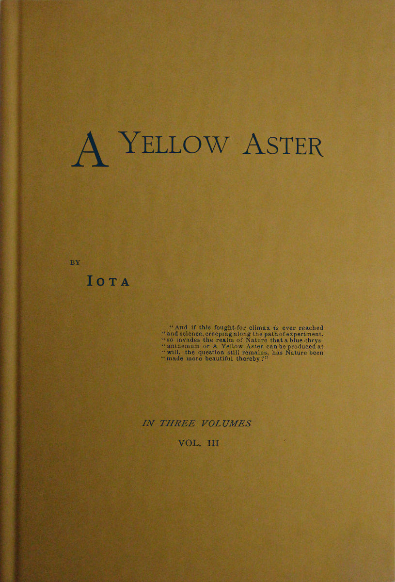 A Yellow Aster, Volume 3 (of 3)