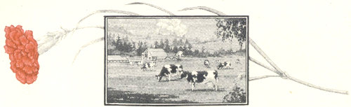 Dairy farm