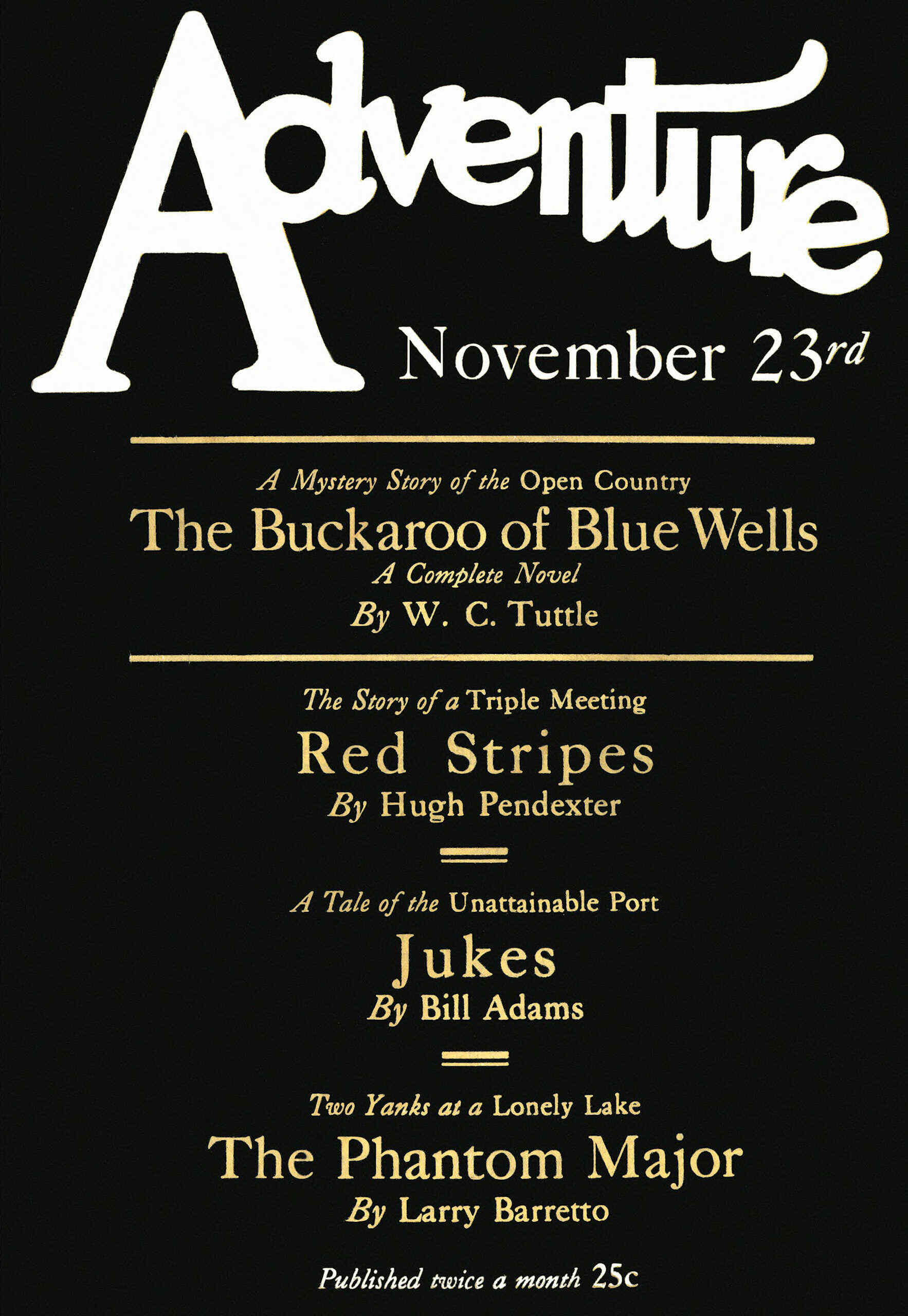 The Buckaroo of Blue Wells
