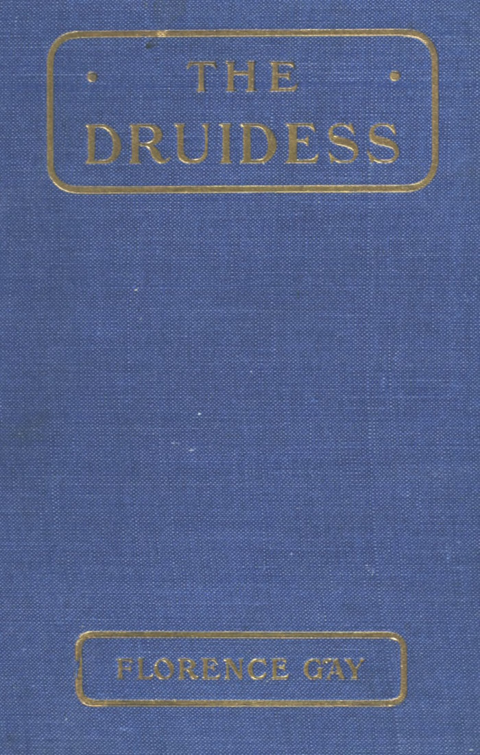 The Druidess: A Story for Boys and Others