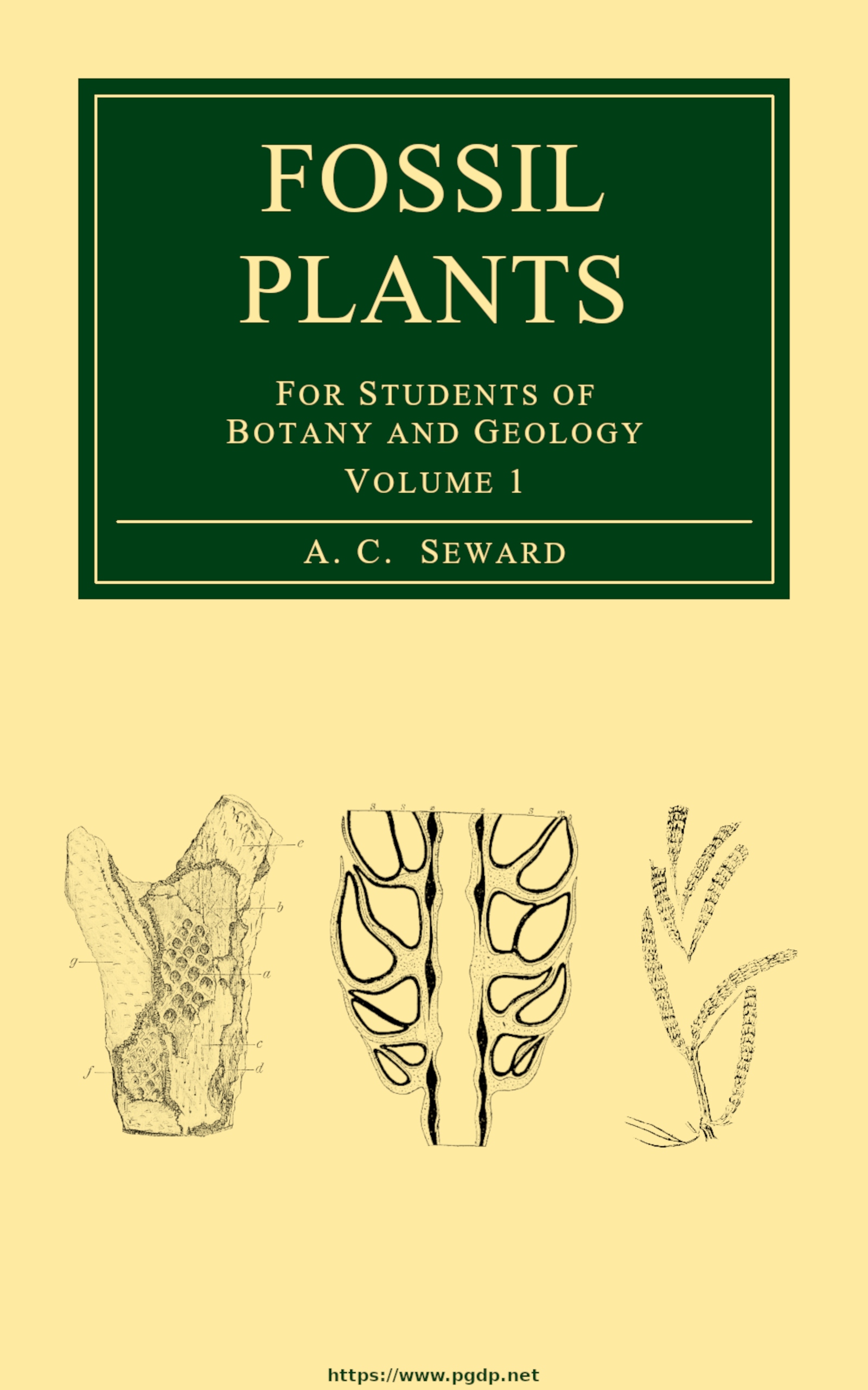 Fosil Bitkiler, Cilt 1: Botanik ve Jeoloji öğrencileri için bir ders kitabı