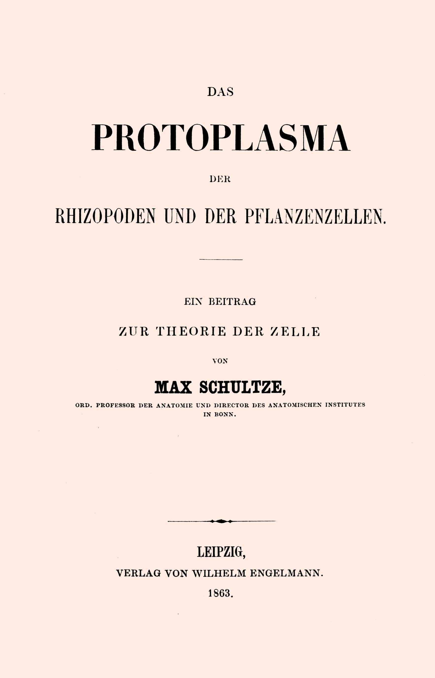 Das Protoplasma der Rhizopoden und der Pflanzenzellen&#10;ein Beitrag zur Theorie der Zelle