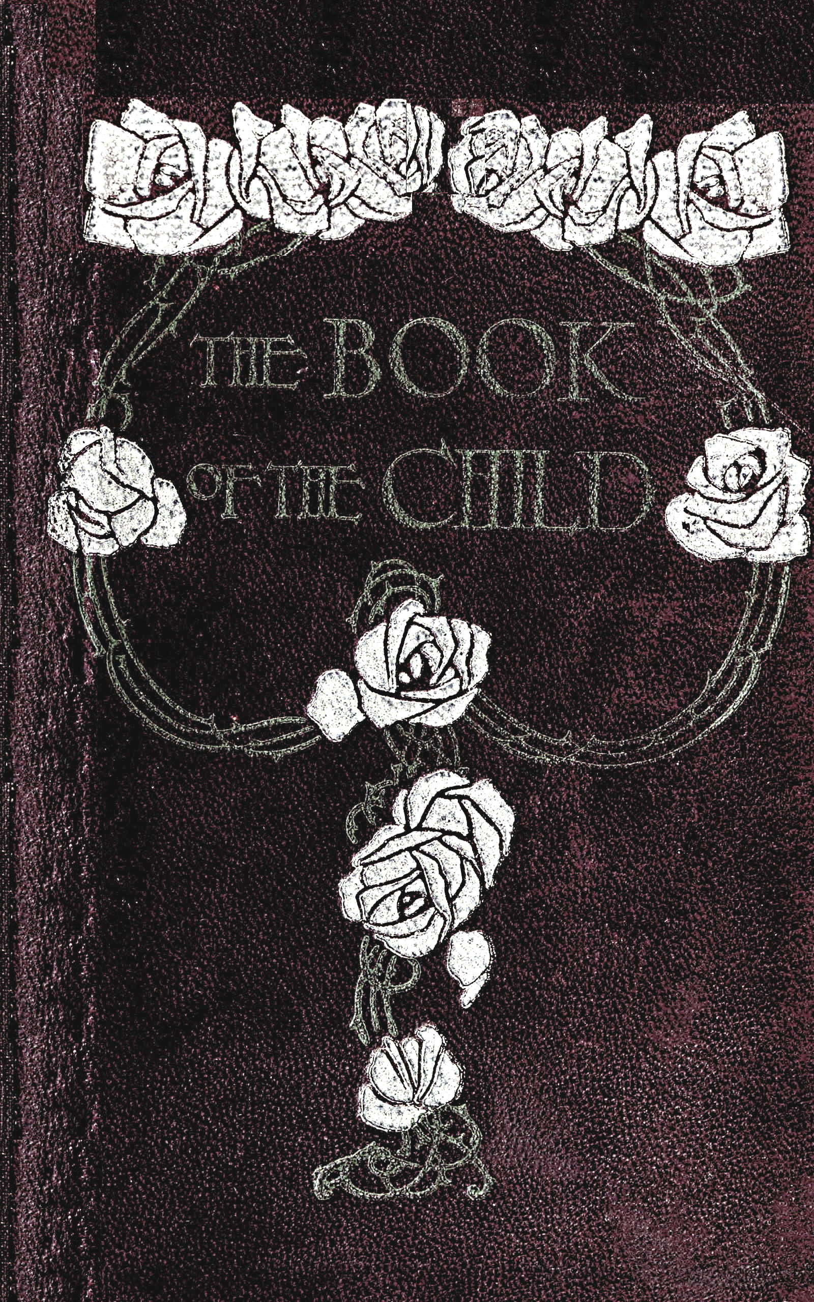 The book of the child: An attempt to set down what is in the mind of children