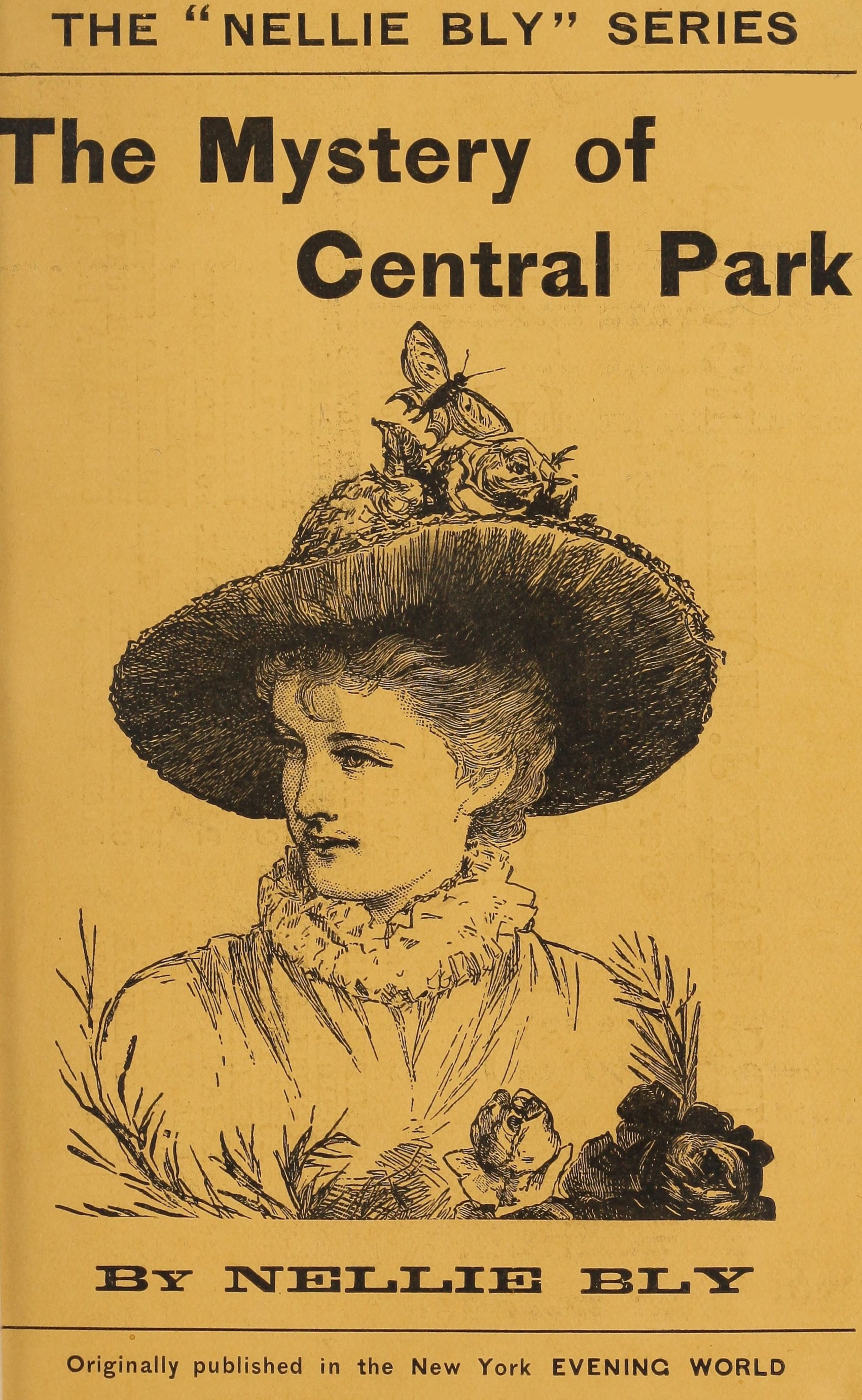 The mystery of Central Park