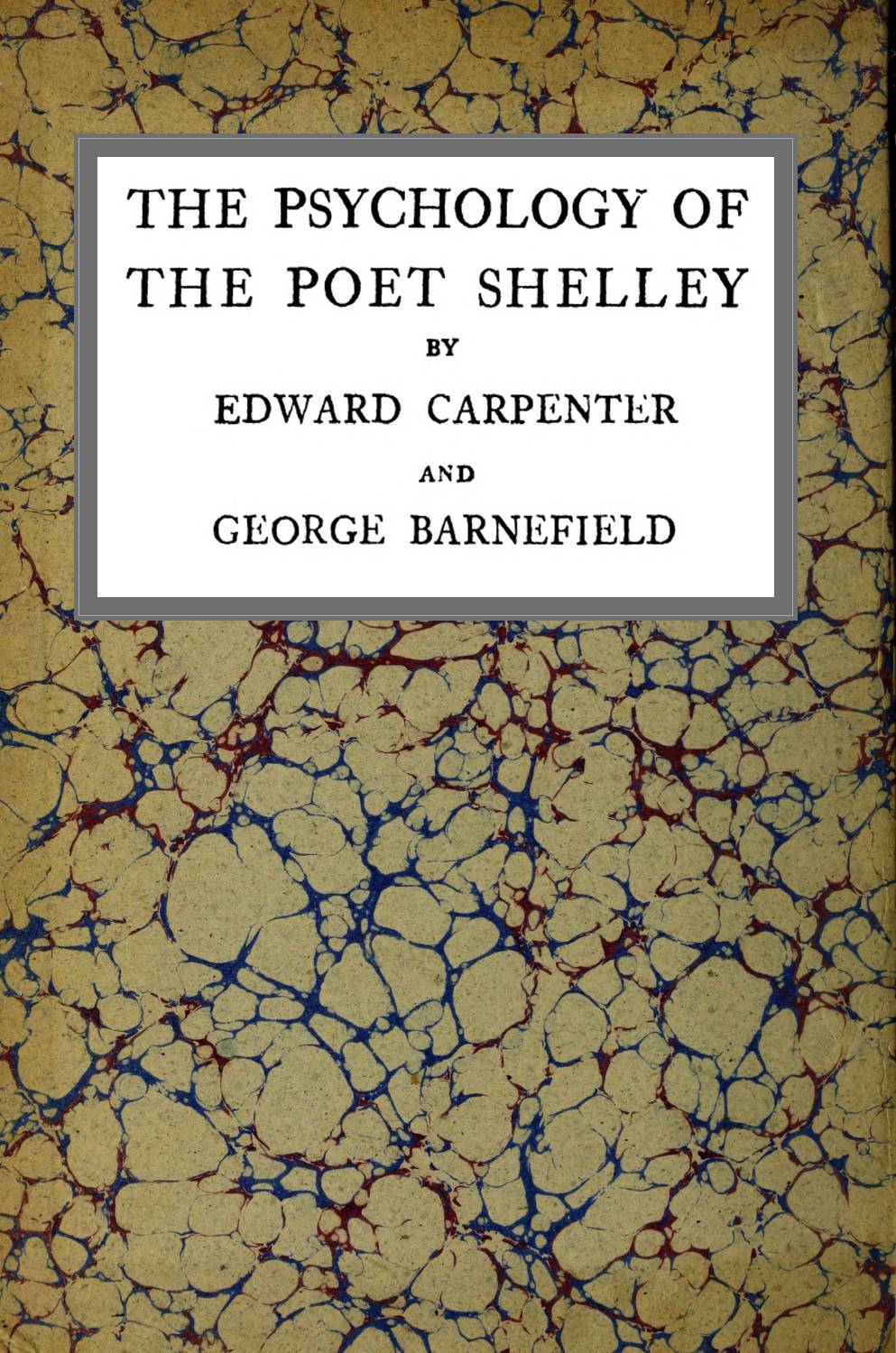 The psychology of the poet Shelley