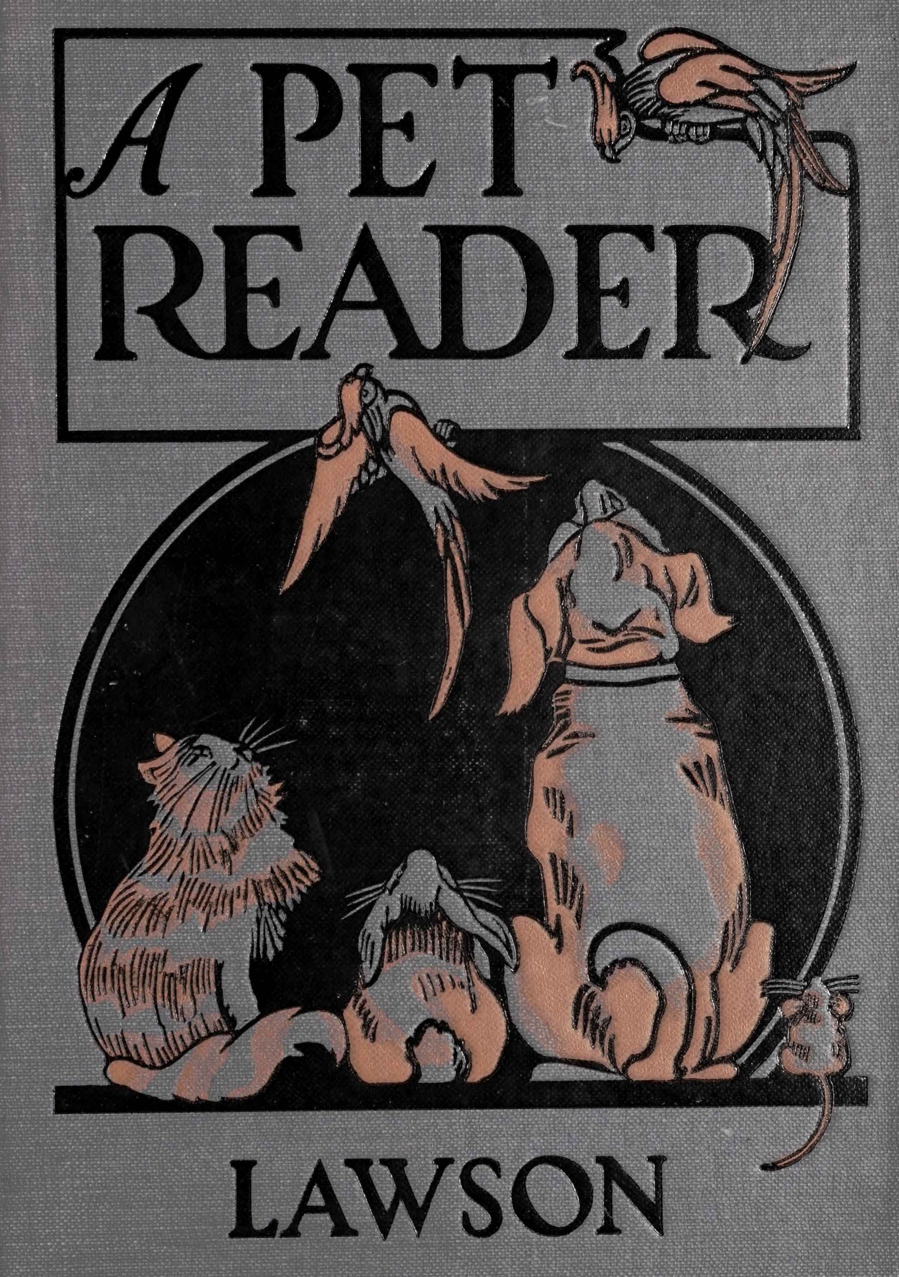 Bir Evcil Hayvan Okuyucusu