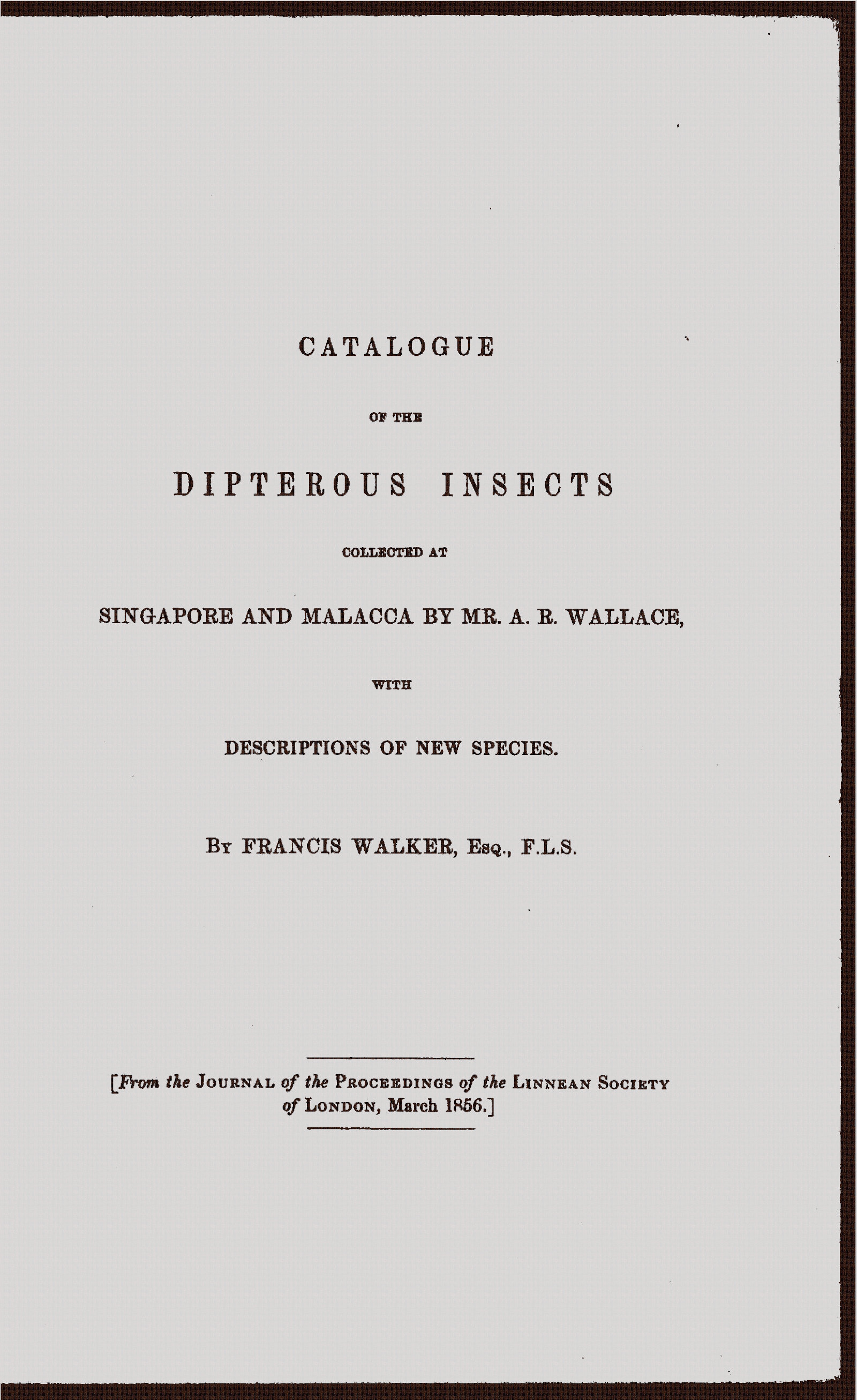 Catalogue of the dipterous insects collected at Singapore and Malacca