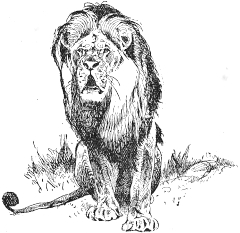 lion