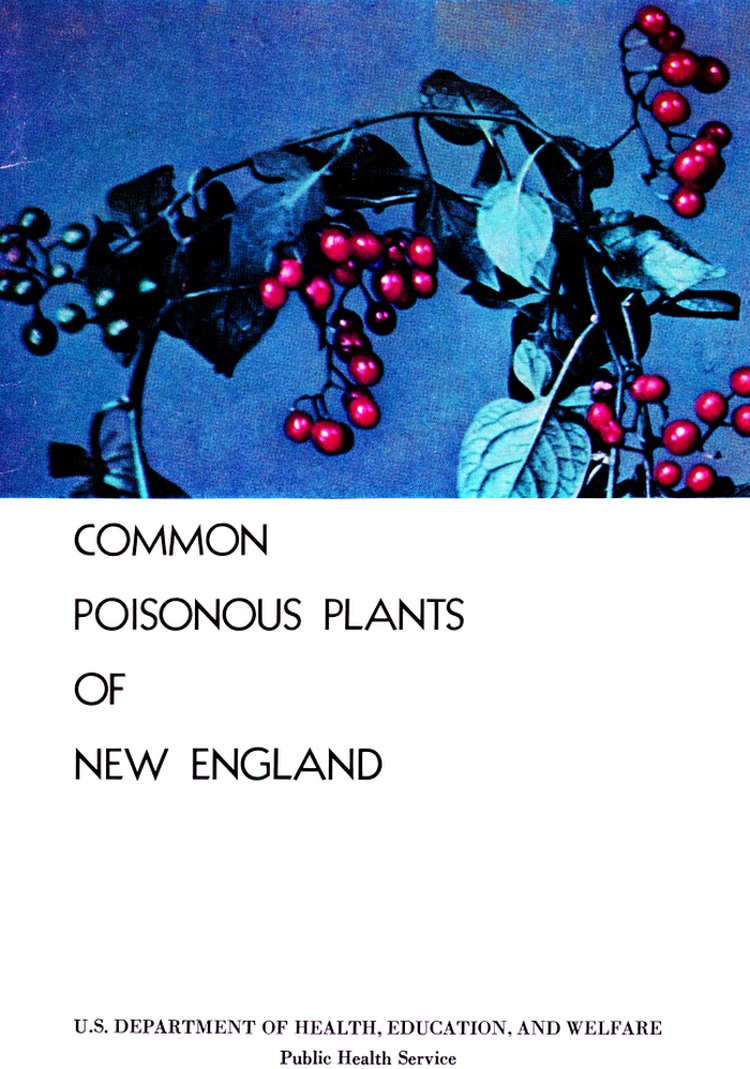 Common poisonous plants of New England