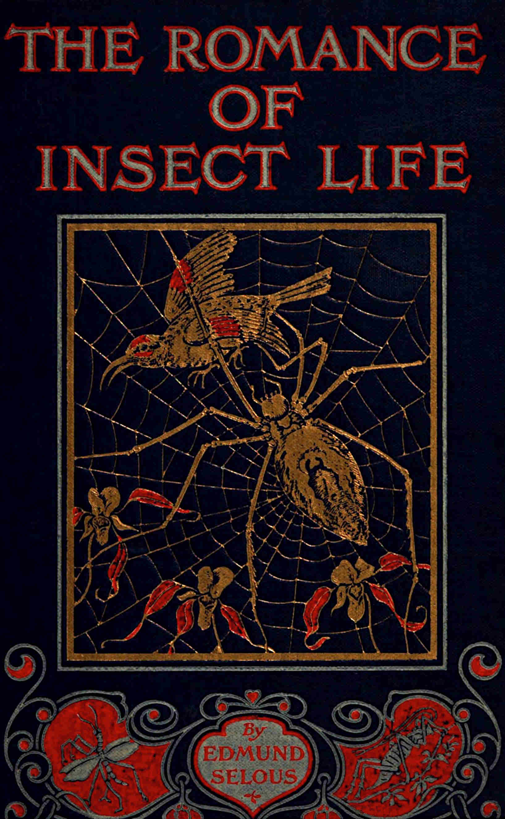 The romance of insect life