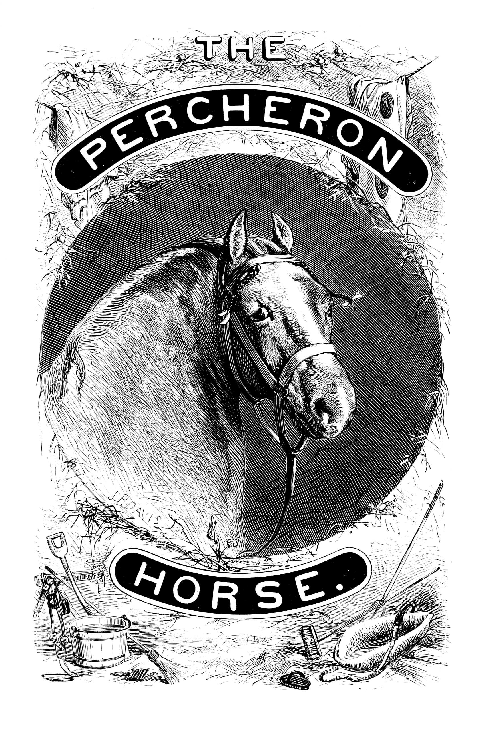 The Percheron horse